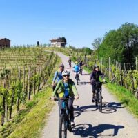 Tours & Sightseeing