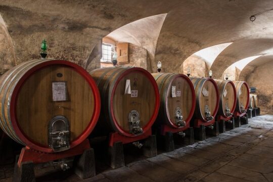 Wine Tour of two Chianti wine estates on the hills of Florence