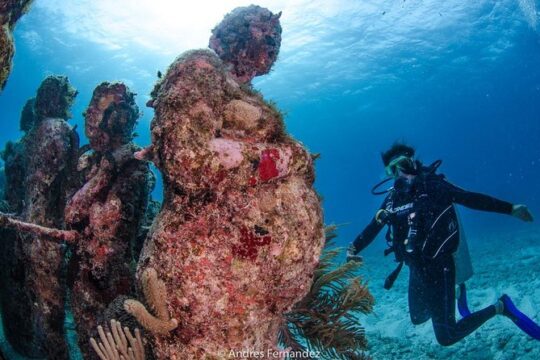 Discover scuba ,MUSA and Manchones reef dive without license