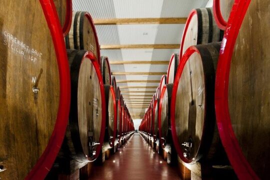 Modena area: Lambrusco Wine Tasting Experience
