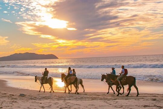 NEW!! Cabo Shore Beach Horseback Ride - Daytime & Sunset Tours