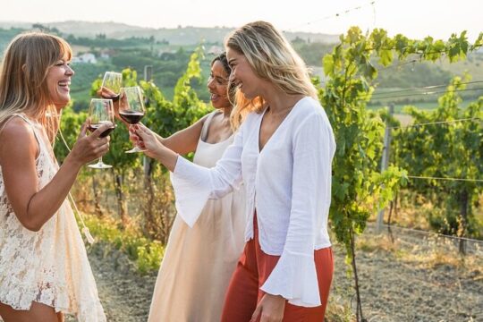 Vistas and Wines: Adelaide’s Gems and Wine Private Tour