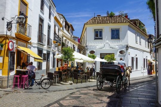 Cordoba Private Walking Tour with a Professional Guide