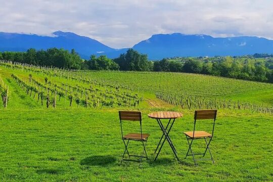 Exclusive tasting of Superior Prosecco and Amarone