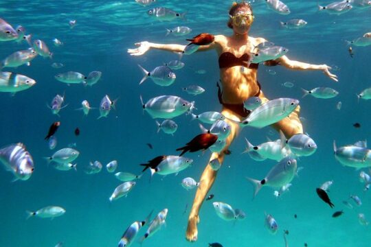 Boat and Snorkeling Private tour max 6 People