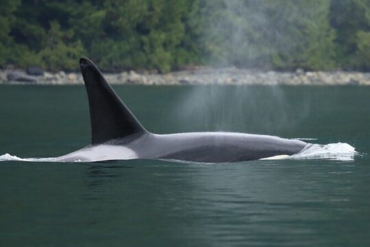 People Water Land- Indigenous Cultural and Wildlife Tour