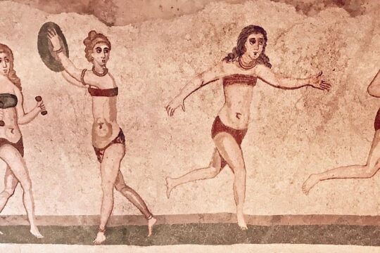 PIAZZA ARMERINA and WINERY - Private Tour starting from Agrigento