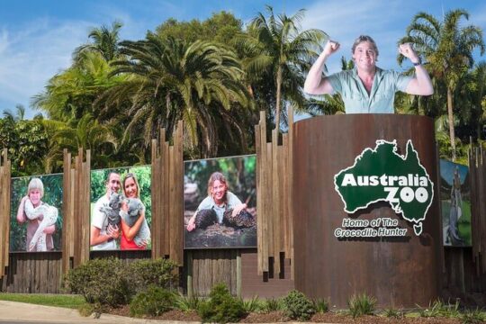 Australia Zoo Transfer from Noosa and Sunshine Coast