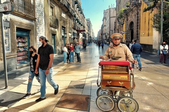 Mexico City Custom Private Tour with a Local, Highlights & Hidden Gems