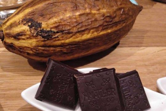 Chocolate tasting room & aromatic cocoa factory tour near Barcelona