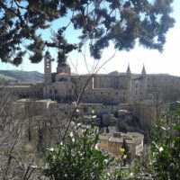 Walking & Biking Tours