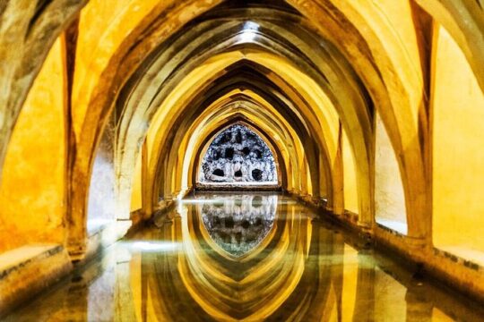 Alcázar of Seville private tour
