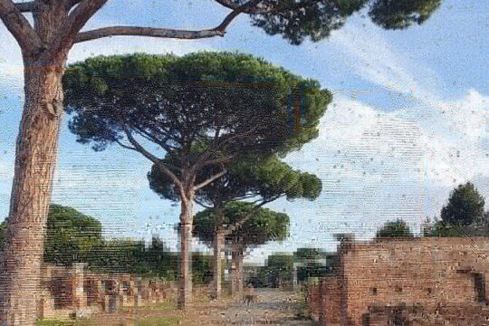 Private Half Day Ancient Ostia and Synagogue Tour