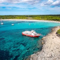 Day Cruises