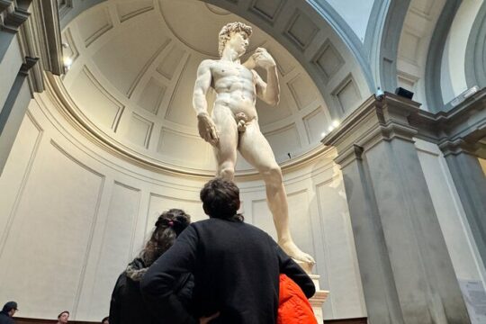 DAVID and Accademia Gallery Private Tour in Florence