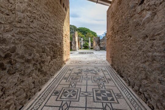 The legendary seaside city by Mount Vesuvius with a Local