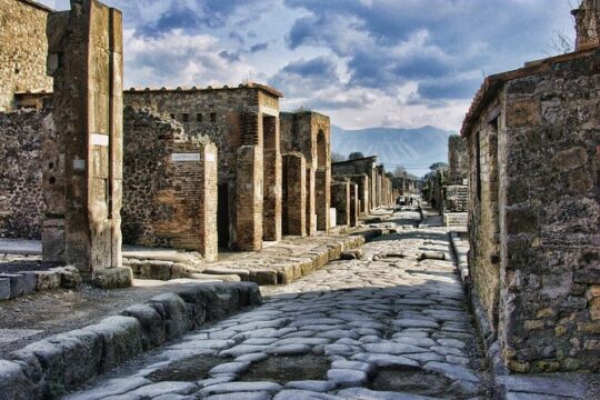 Private Guided Tour from Rome to Pompeii