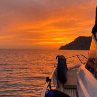 Private & Custom Tours