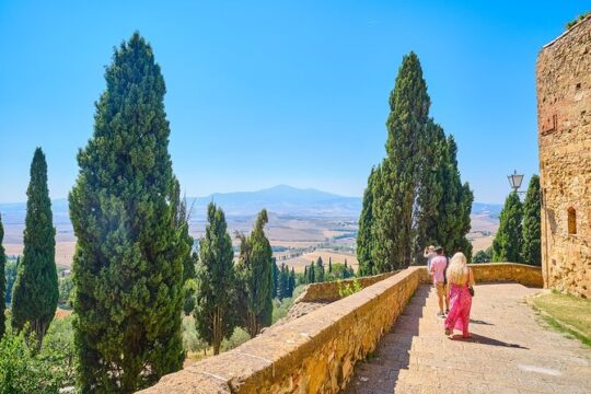 Tuscany Hills Postcard View:Val D'orcia Scenery with Wine tasting