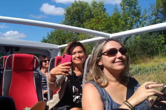 Open Top Van!! Half Day in Chianti with Wine Tasting