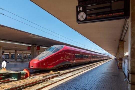 Private Transfer from SMN Train Station to Florence
