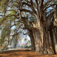 Walking & Biking Tours