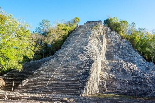 Private Coba with a Local Expert