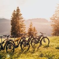 Day Trips & Excursions