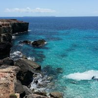 Archaeology Tours