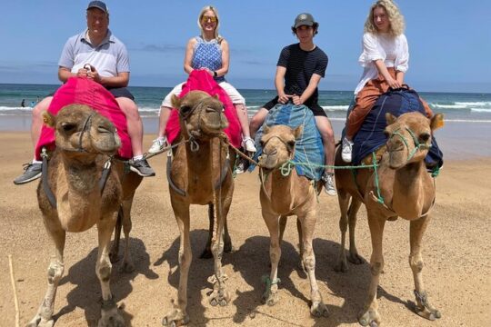 Private Day Tour in Gibraltar and Tangier, Morocco from Malaga