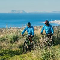 Walking & Biking Tours