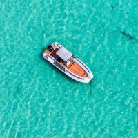 Day Cruises