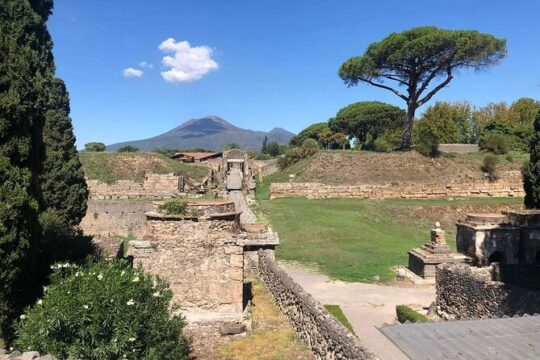 Pompeii ruins and wine tour from Positano