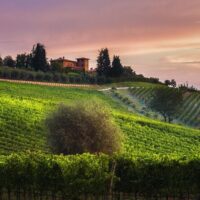 Food, Wine & Nightlife