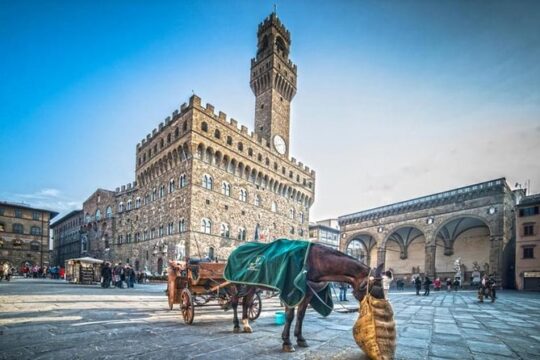 3-Hour Private Florence Walking Tour