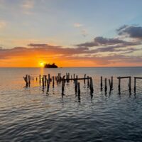Walking & Biking Tours