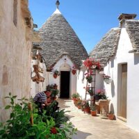 Day Trips & Excursions