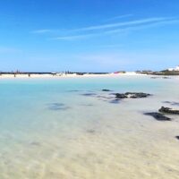 Private & Custom Tours