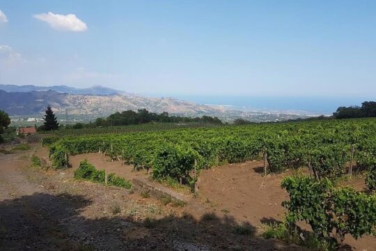 Wine Tour in Linguaglossa and in addition visit of Taormina from Giardini Naxos