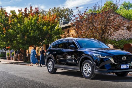 Wine Tasting and Lunch Private Tour in McLaren Vale