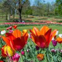 Sightseeing Tickets & Passes