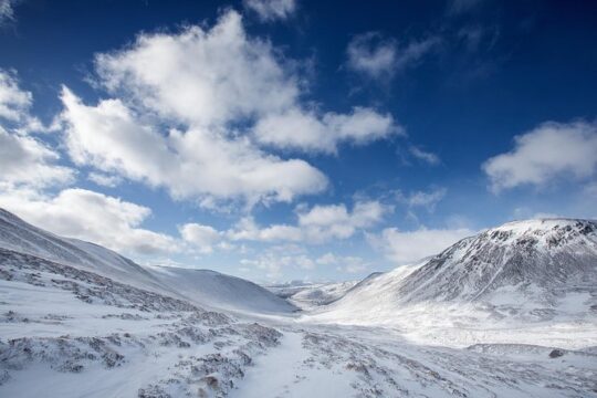 Cairngorms & Whisky Day Tour from Inverness Including Admission