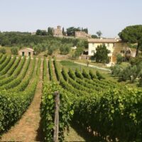Food, Wine & Nightlife