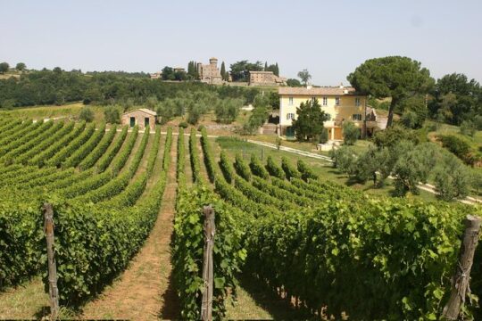 Wine Tasting and Winery tour