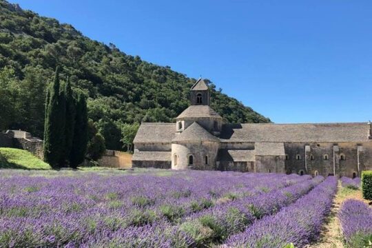 The Lavender tour from marseille or aix en provence