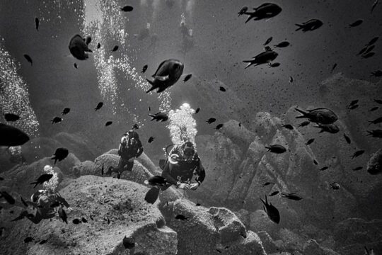 package of 4 double dives in the Capo Carbonara Marine Protected Area