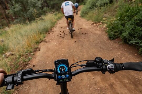 Bike Then Beer Tour with Guided EBike