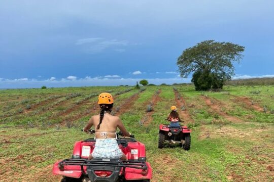Jungle and beach ATV tour + lunch + tequila tasting