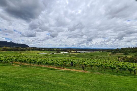 Full Day Private Wine Tour Exclusively Tailored To Suit You