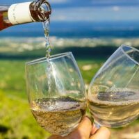 Beer & Brewery Tours